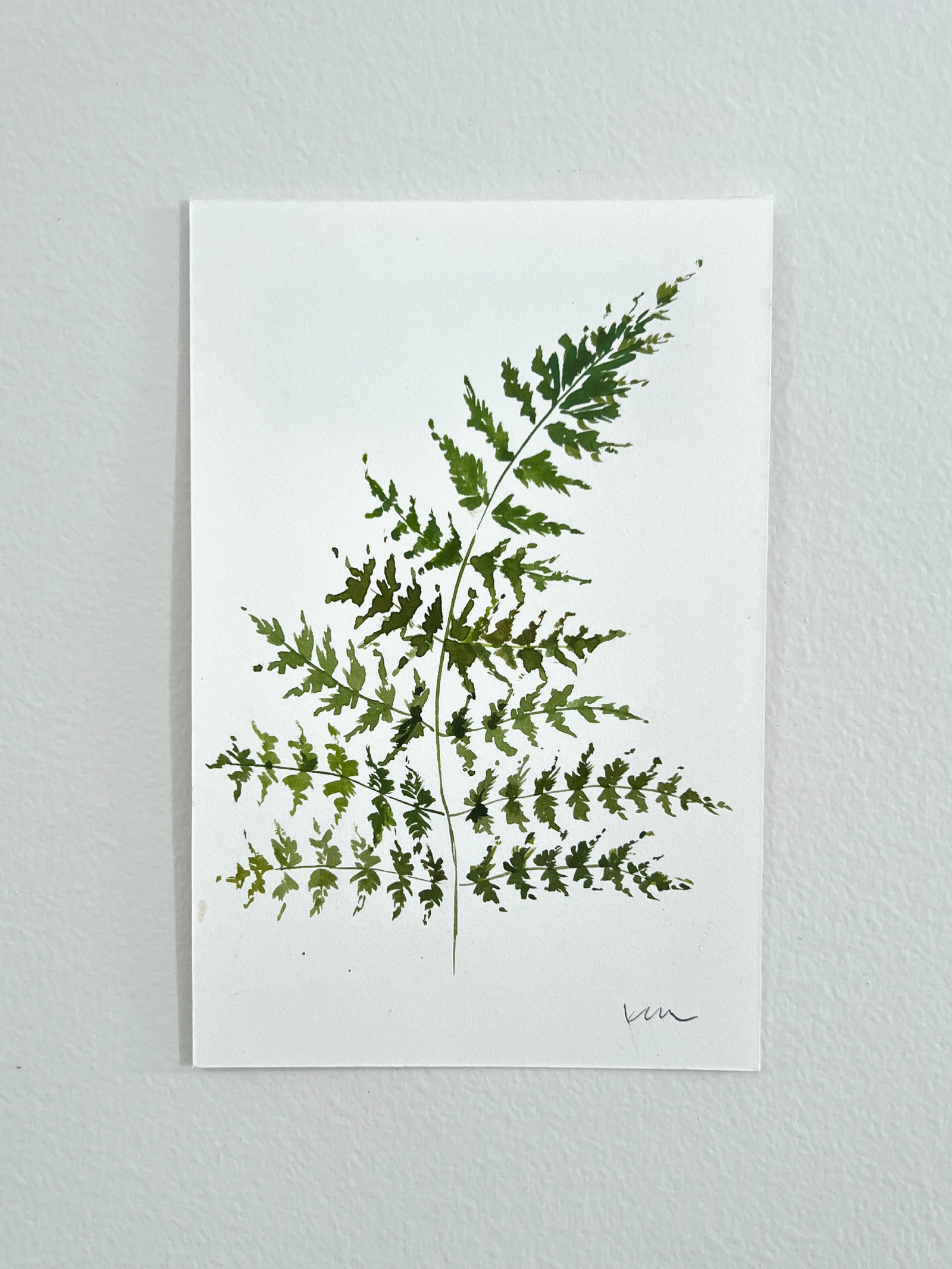 Fern Study No. 1 – Kelly Ventura Design